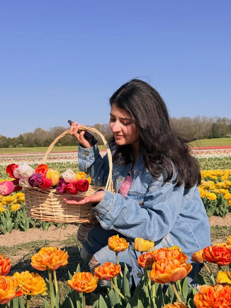 Saanika holding a basket of tulips in a tulip field